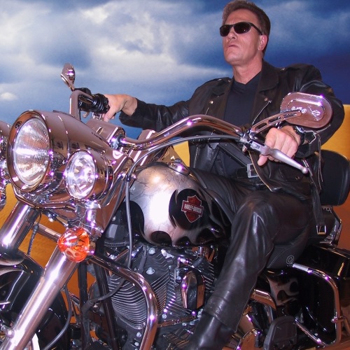 Arnold Schwarzenegger Tribute