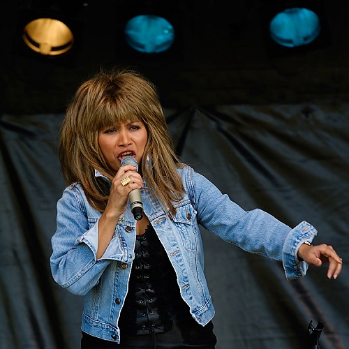 De Tina Turner Tribute