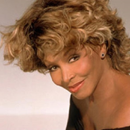 De Tina Turner Tribute