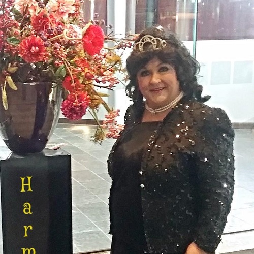 Zangeres zonder Naam Tribute